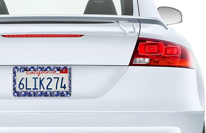 2PCS Blue Skull Fire Pattern License Plate Frames for Men Women - Universal Aluminum Stainless Steel Personalized Car Tag Covers Holder with Screws, Caps, Rattle Proof Pads and Handlebar Stickers