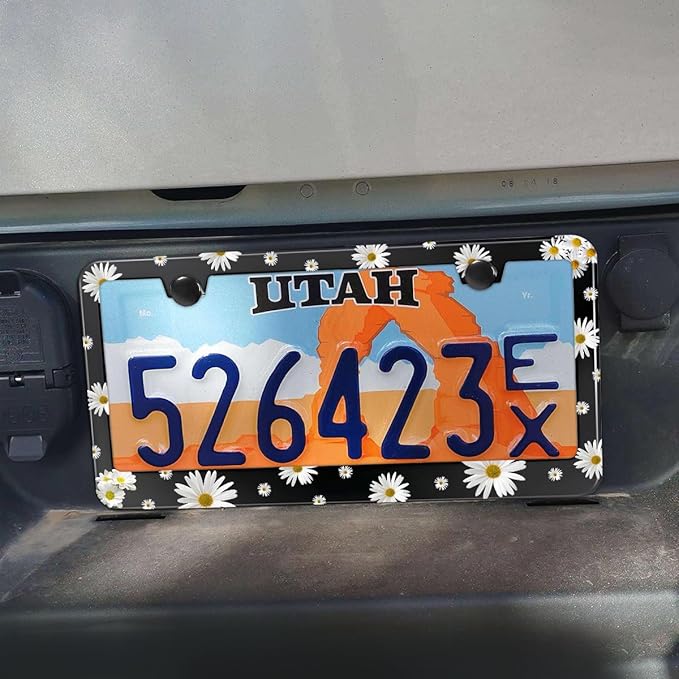 2PCS Daisy License Plate Frame, Beautiful Chrysanthemum License Plate Frame, Personalized Floral Car Accessory Holder for Men and Women