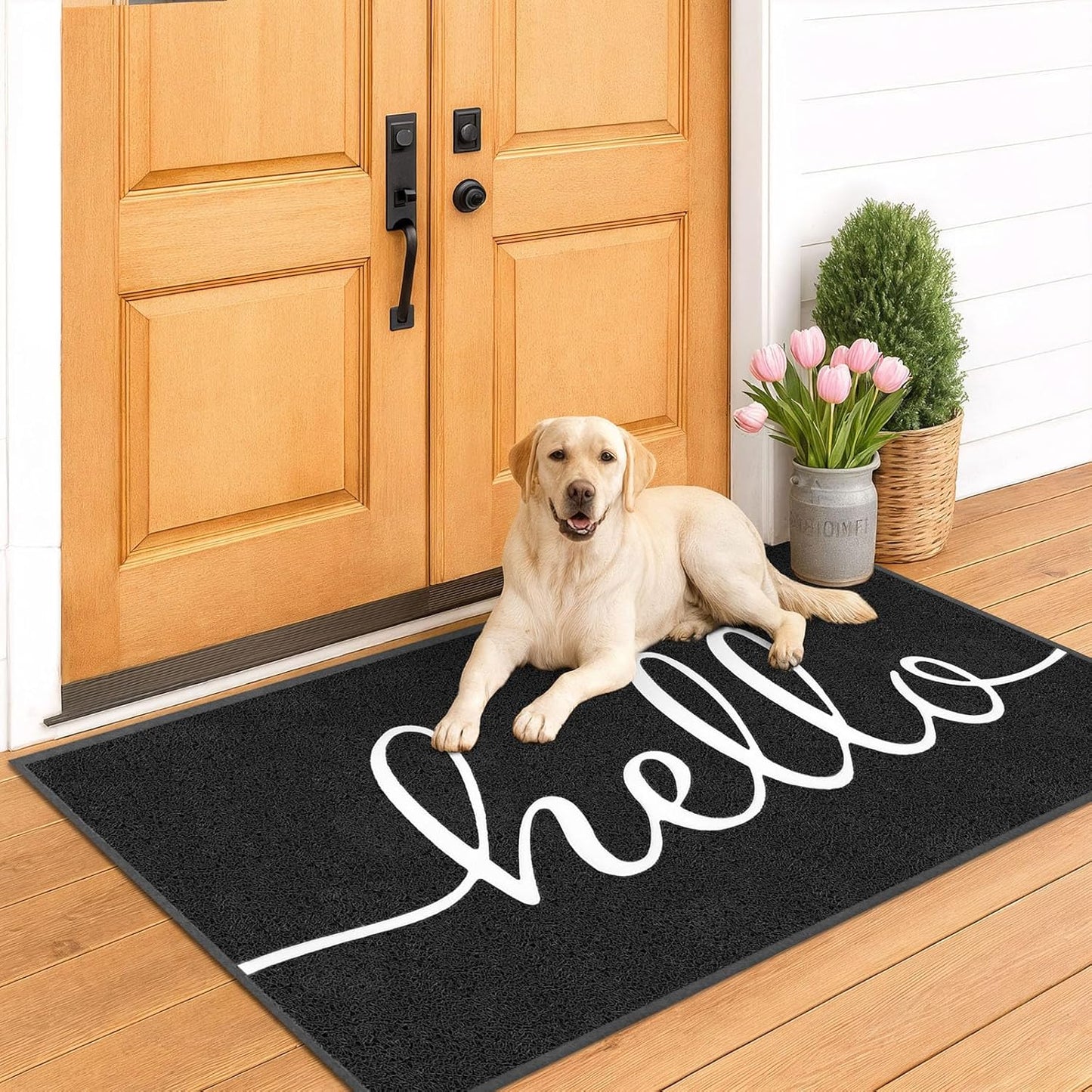 EARTHALL Funny Hello Mats Outside/Inside 71"x47", Front Door Mat Outdoor Entrance, Indoor Outdoor Mats for Home Entrance, Funny Doormat Outside/Inside Entry, Front Porch Decor for Farmhouse