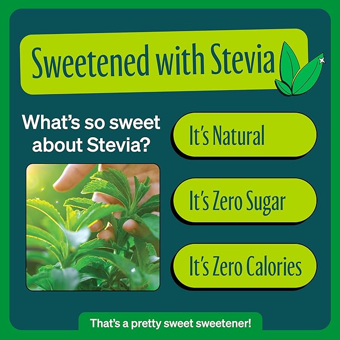 Zevia Zero Sugar Soda, Ginger Ale, 12 oz Cans (24-Pack) – Naturally Sweetened, Non-GMO Project Verified, Gluten-Free, Vegan