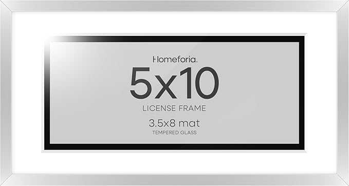 Homeforia 5x10 Business License Frame Silver, High End Metal 5 x 10 Document Certificate Frames with Mat 4x9, 5by10 Professional License Frames for Wall or Tabletop, Tempered Glass, Wall Kit, Set of 1