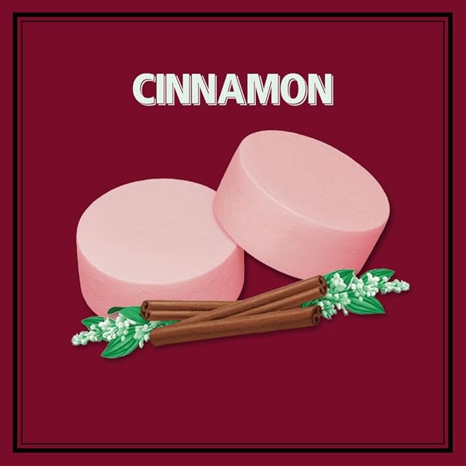ALTOIDS Classic Cinnamon Hard Candy Breath Mints Bulk, 1.76 oz Tin (Pack of 12)