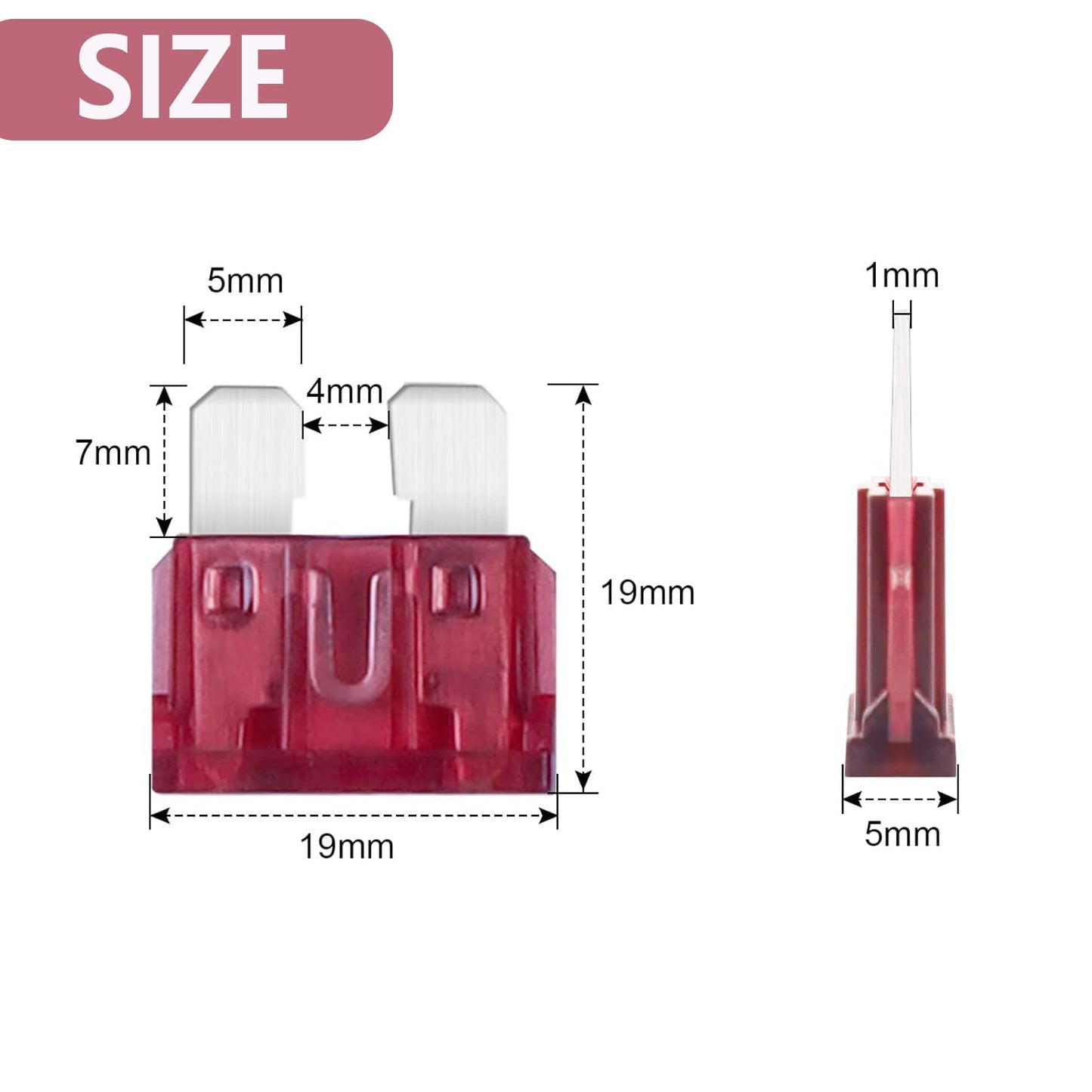 (80Pcs) 40 Amp Standard Fuse, 40A Car Blade Fuses for Car/RV/Truck/SUV/Motorcycle/Boat