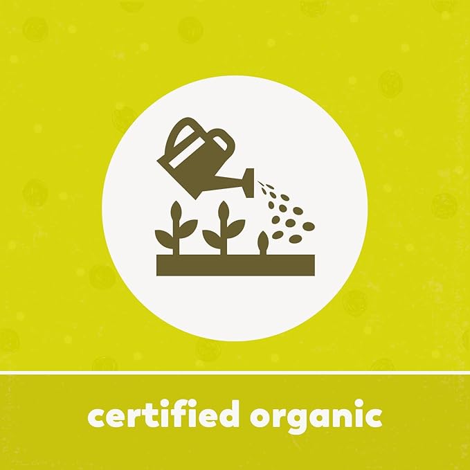 Yupik Organic Fruit Gummy Bears, Gelatin-Free, 1.1 lb (17.6 oz), Gluten-Free, Vegan, Non-GMO, Natural Colors & Flavors, Made from Fruit Juice, Sweet Candy, Delicious Snack, Ideal for Gifting