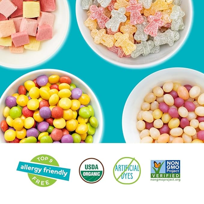 YumEarth Organic Variety Box - Jelly Beans, Giggles, Chewys, Sour Littles - Allergy Friendly (Top 9 Free), No Artificial Dyes or Flavors, Non GMO, Gluten Free, Vegan -Individually Wrapped (Pack of 20)