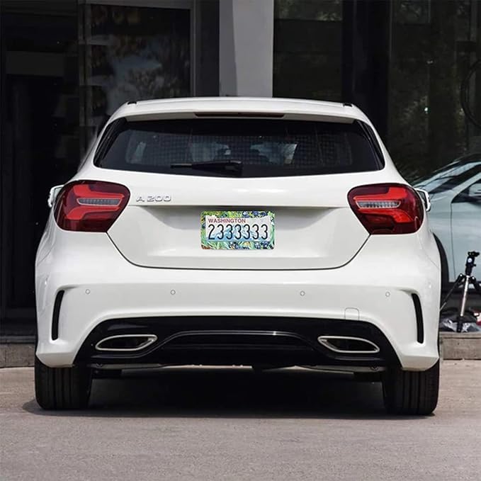 2Pcs Irises Watercolor Iris Floral License Plate Frames Cover Holders Stainless Steel License Plate Cover with Screw Caps Cover and Screwdriver Set - 2-Hole for Girl Women