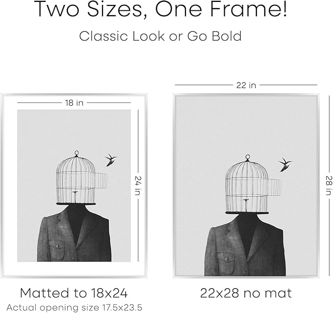 Homeforia Silver Picture Frame 22x28, High End Metal 22 x 28 Large Poster Frame with Mat 18 x 24 Photo, 22x28 Silver Frames Matted to 18x24 Print, 28x22 Thin Frames, Tempered Glass, Wall Kit, Set of 2
