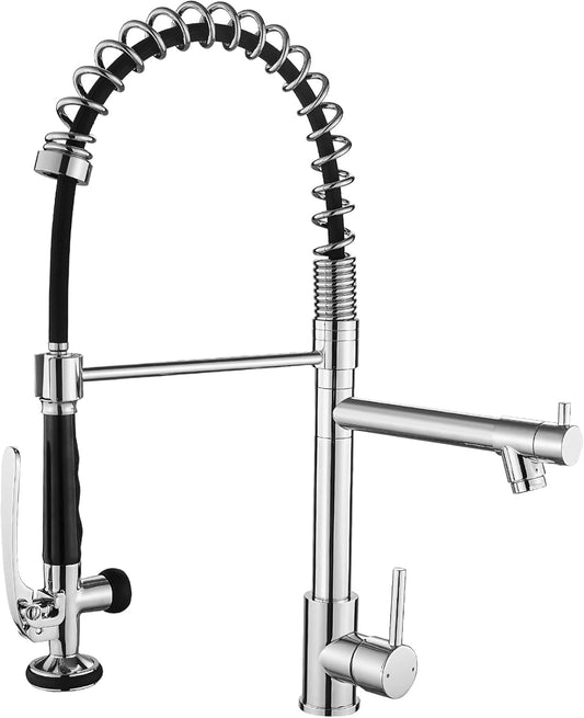 Fapully Chrome Kitchen Faucet with Sprayer,Commercial Single Handle Pull Down Kitchen Sink Faucet
