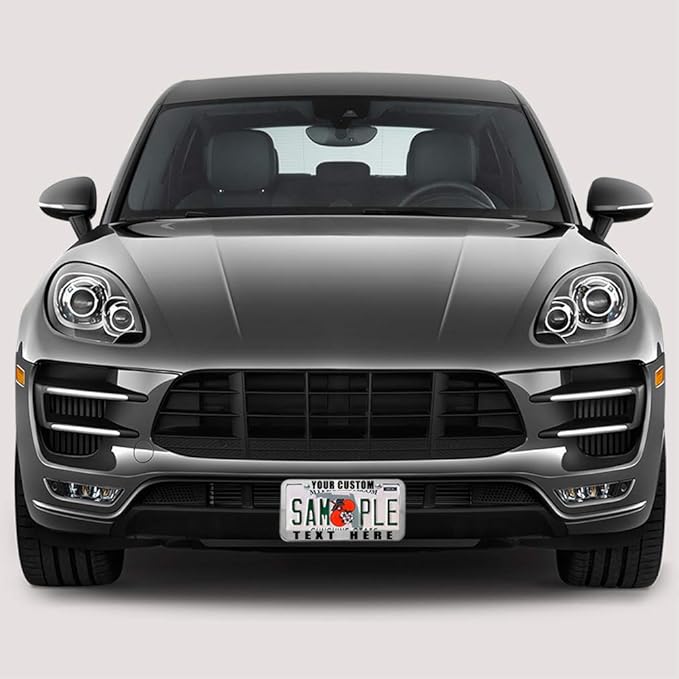 Speedy Pros Funny License Plate Frame Custom Personalized Text Zinc Cute Car Accessories License Plate Holder Chrome 2 Holes Set of 2