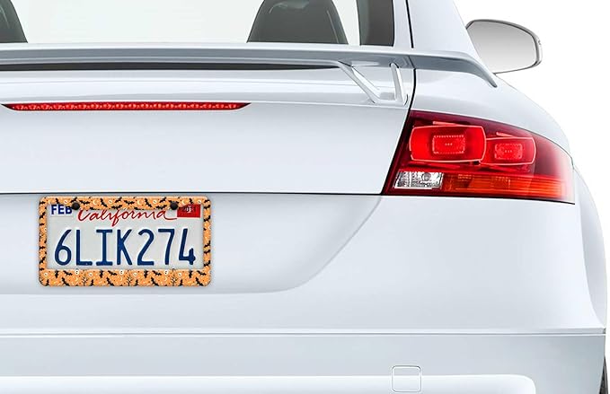 2PCS Halloween Orange Bat Pattern License Plate Frames for Men Women - Universal Aluminum Stainless Steel Personalized Car Tag Covers Holder with Screws, Caps, Rattle Proof Pads and Handlebar Stickers