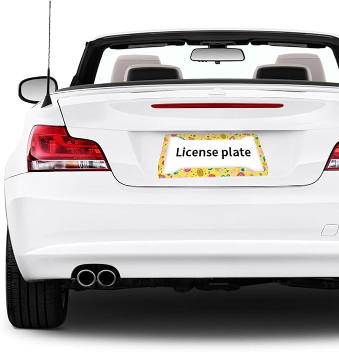 Fruit License Plate Frame Cover Universal US Car Plate Holder Tag Accessories Decor for Women Man 2 Pack with Screw 12.3 x 6.3 Inch