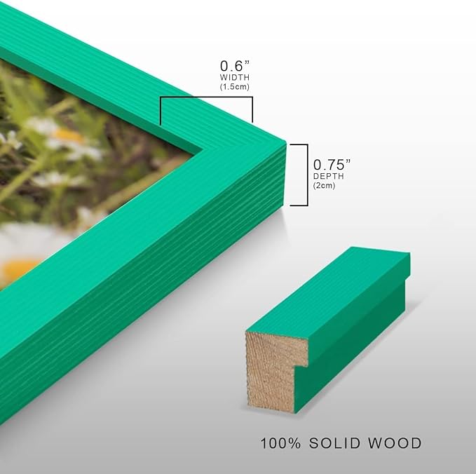 Renditions Gallery Set of 12, 8X10 Custom Photo Prints with Real Wood Picture Frames. Create Personalized Photos with Peel & Stick Photo Frames. Green Frame