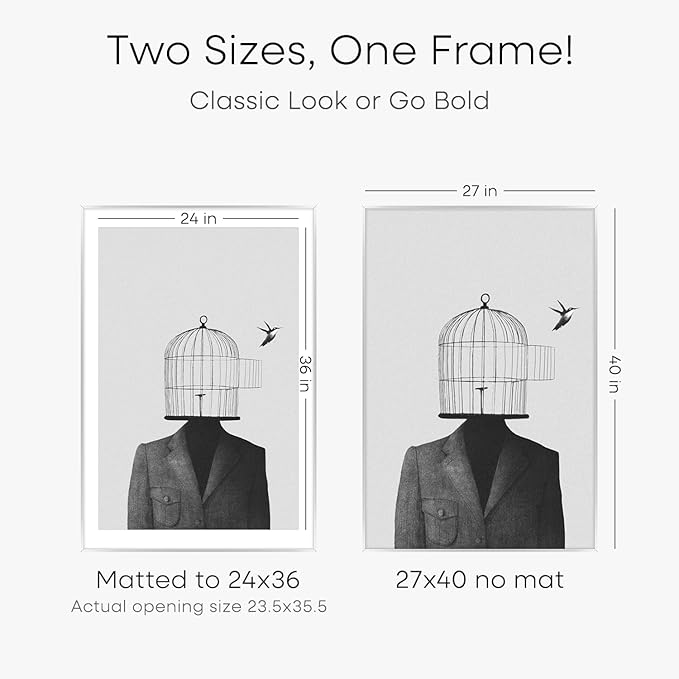 Homeforia Silver Picture Frames 27x40, Premium Brass 27x40 Frame with 24x36 Mat, Tempered Glass, Wall Hook Included, Set of 1