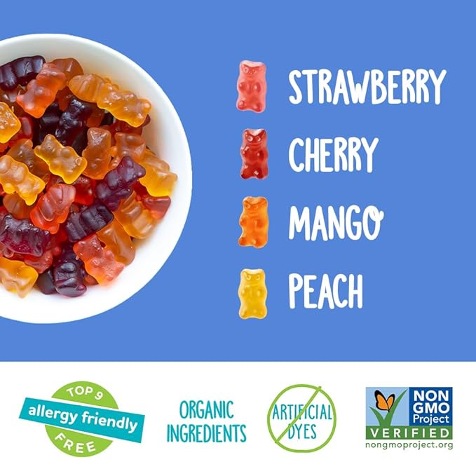 YumEarth Organic Fruit Flavored Gummy Bears, 10- .7oz. Snack Packs, Allergy Friendly, Gluten Free, Non-GMO, No Artificial Flavors or Dyes