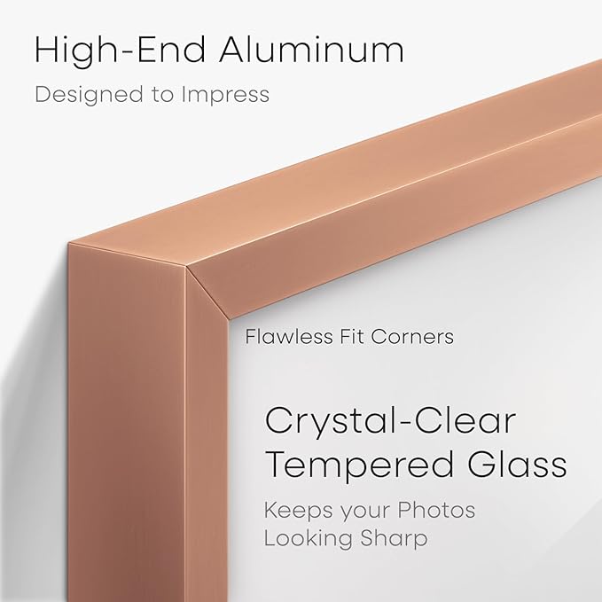 Homeforia Picture Frames 16x20 Rose Gold, High End Metal 16x20 Poster Frame with Mat 11x14 inch Photo, 16 x 20 Rose Gold Frame Matted to 11 by 14 Print, 20x16 Frame, Tempered Glass, Wall Kit, Set of 2