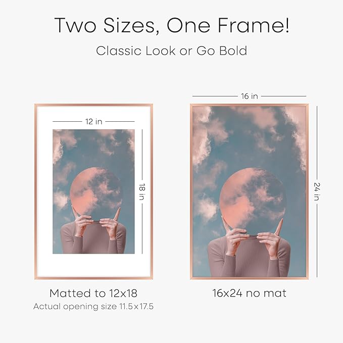 Homeforia 16x24 Picture Frame Rose Gold, High End Metal 16x24 Poster Frames with Mat 12x18 inch Photo, 16 x 24 Rose Gold Frame Matted to 12 by 18 Print, 24x16 Frame, Tempered Glass, Wall Kit, Set of 1