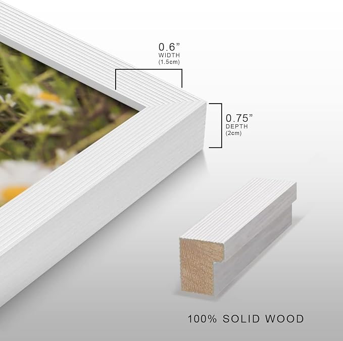 Renditions Gallery Set of 12, 8X10 Custom Photo Prints with Real Wood Picture Frames. Create Personalized Photos with Peel & Stick Photo Frames. White Frame