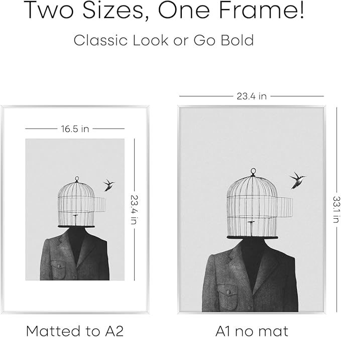 Homeforia A1 Poster Frame Silver, High End Metal A1 Large Picture Frame Silver with Mat A2 for Photo, 23.4x33.1 Frames Matted to 16.5x23.4 Print, 23.4 by 33.1 Frame, Tempered Glass, Wall Kit, Set of 2