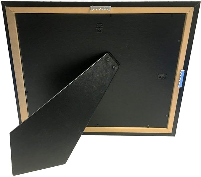 Creative Picture Frames [CL8.5x11bk] Black Double License Business Frames for Professionals 8.5 by 11-inch Frame w/Mat, Self Standing Easel Back and Hanger