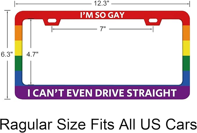 Funny License Plate Frames with Humor Text Gay Pride Rainbow Flag I'm So Gay I Can't Even Drive Straight Premium Stainless Steel Rust-Proof Stylish Car Decor 12.3x6.3in License Plate Holder -DATANSEN