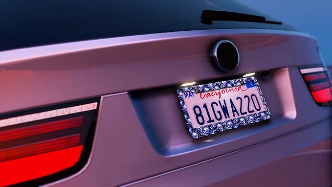 2PCS Blue Skull Fire Pattern License Plate Frames for Men Women - Universal Aluminum Stainless Steel Personalized Car Tag Covers Holder with Screws, Caps, Rattle Proof Pads and Handlebar Stickers