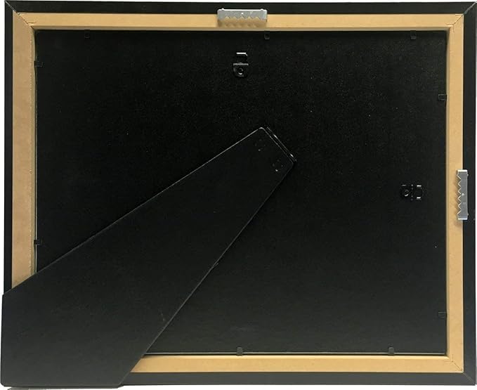 Creative Picture Frames [CL8.5x11bk] Black Double License Business Frames for Professionals 8.5 by 11-inch Frame w/Mat, Self Standing Easel Back and Hanger