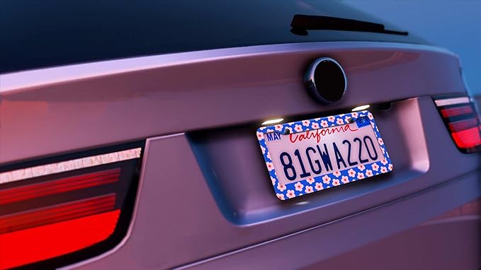 2PCS Pink & Blue Flowers Pattern License Plate Frames for Men Women - Universal Aluminum Stainless Steel Floral Car Tag Covers Holder with Screws, Caps, Rattle Proof Pads and Handlebar Stickers