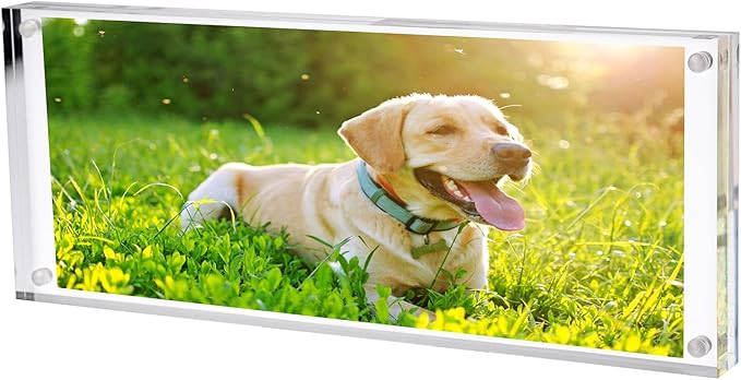 JUXYES 2 Pack Clear Acrylic Business License Frame Magnetic License Certificate Display Frame, Acrylic Sandwich Frames Frameless Panoramic Picture Frame Tabletop Magnetic Frames for Business License, 4x10