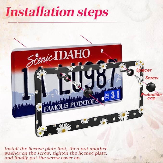 2PCS Daisy License Plate Frame, Beautiful Chrysanthemum License Plate Frame, Personalized Floral Car Accessory Holder for Men and Women