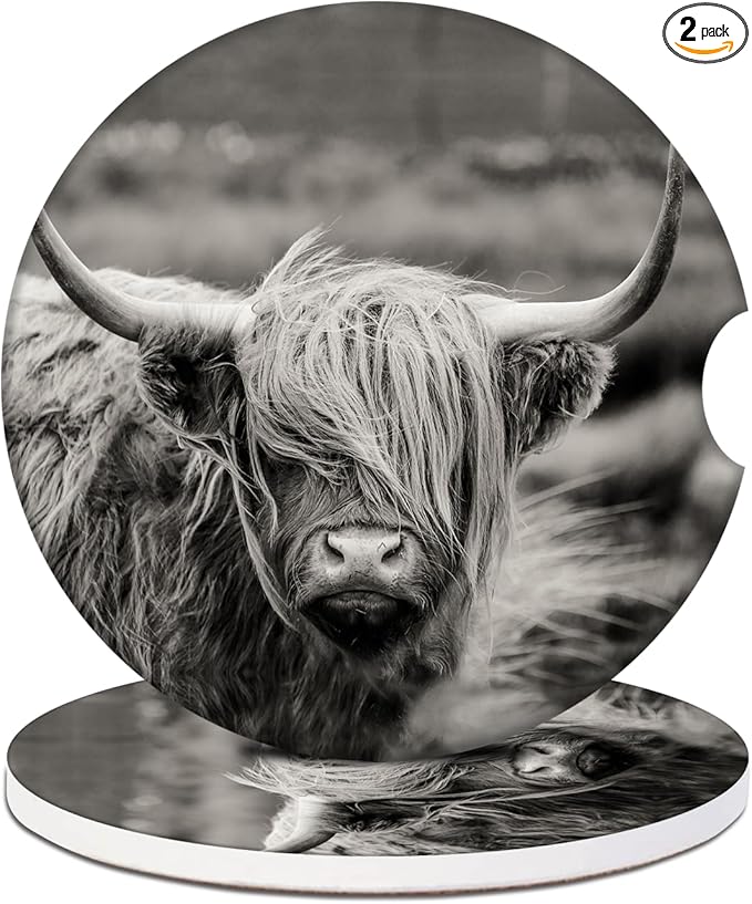 Car Cup Holder Coaster - Highland Cow Absorbent Ceramic Coaster, Car Coasters for Cup Holders, Auto Accessories for Women & Men, Pack of 2