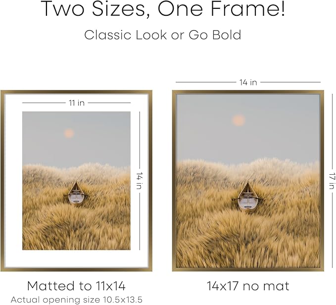 Homeforia 14x17 Picture Frame Bronze, High End Metal 14x17 Brass Poster Frames with Mat 11x14 for Photo, 14 x 17 Frame Matted to 11 by 14 Print, 17x14 Hanging Frame, Tempered Glass, Wall Kit, Set of 2