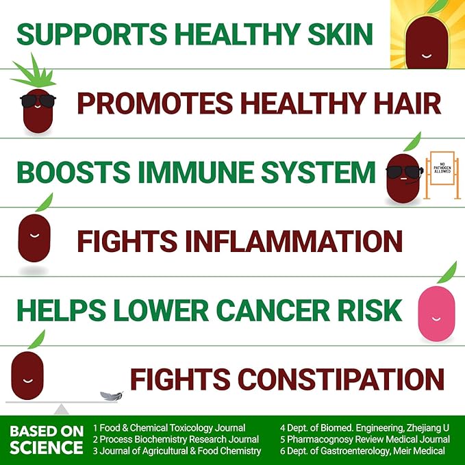 USDA Organic California Grown Pure Jujube Product | JUJUME Crisps | Sweet Jujube Chips | ZERO Added Sugar or Preservatives | All-Natural Healthy Snack | 1-pack 6 oz. bag