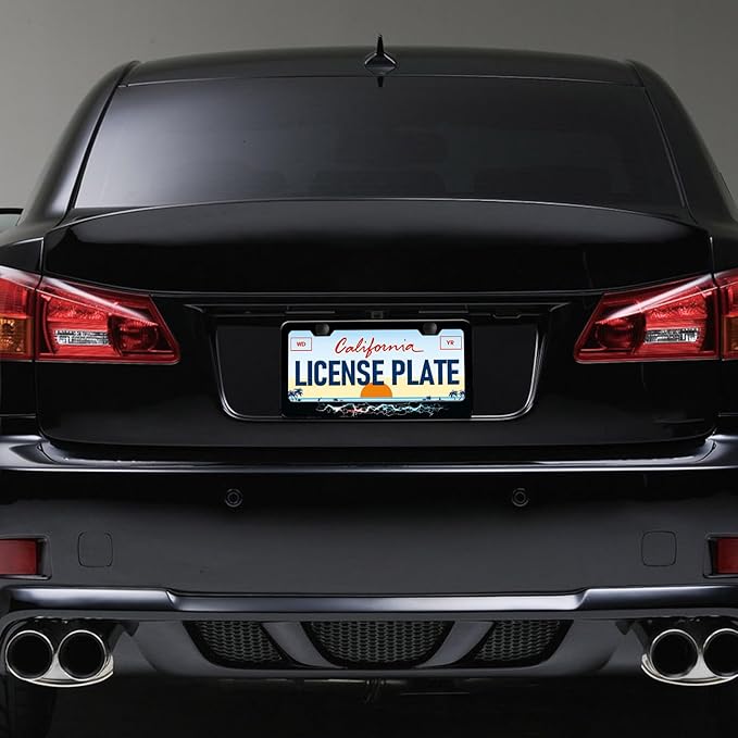 Colorful Lightning License Plate Frames - 2 Pack Funny Thunder License Plate Holder, Stainless Steel Rust-Proof Waterproof Car Decorative Tag Frame with Screws Fasteners Caps