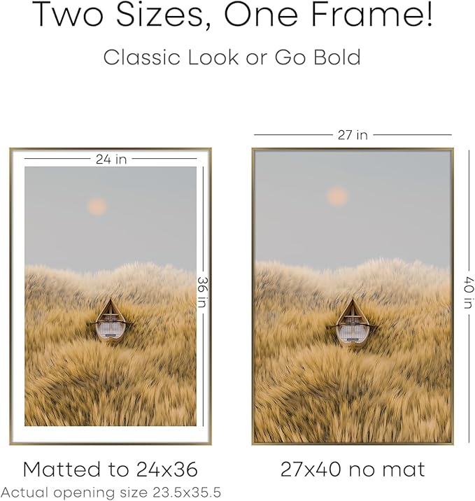 Homeforia 27x40 Picture Bronze Frame, High End Metal 27 x 40 Large Poster Frames with Mat 24 by 36 Photo, 27x40 Brass Movie Frame Matted to 24x36, 40x27 Thin Frames, Tempered Glass, Wall Kit, Set of 2