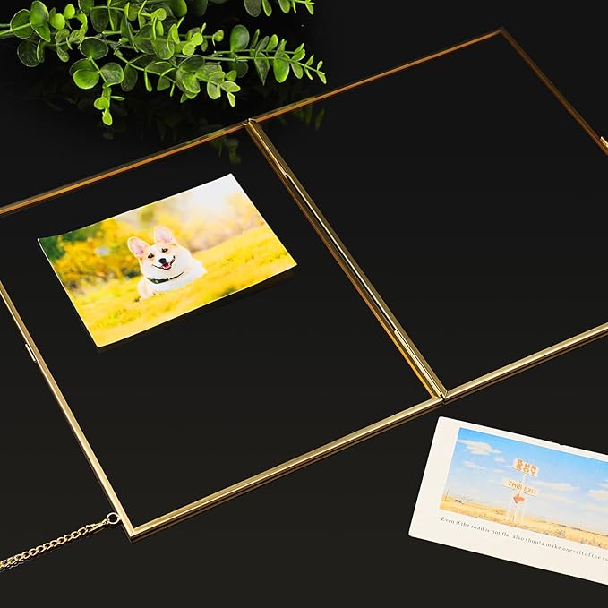 JUXYES 2 Pack Wall Hanging Business License Frame Brass Certificate Display Frames, Double Glass Floating Diploma Frames, Wall Mount Golden Graduation Frame for 8.5x11 Inches Certificate Business Licenses