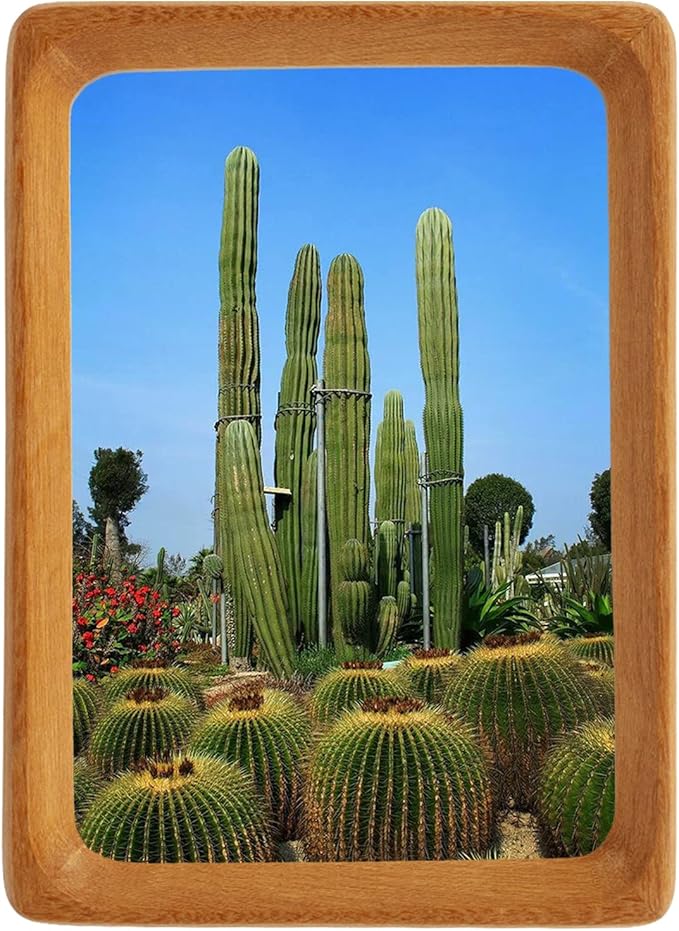 Natural Wood Photo Frames Inspired Tabletop Picture Frame with Mat, Vertical or Horizontal Display (Teak, 4x6 matted to 3x5)