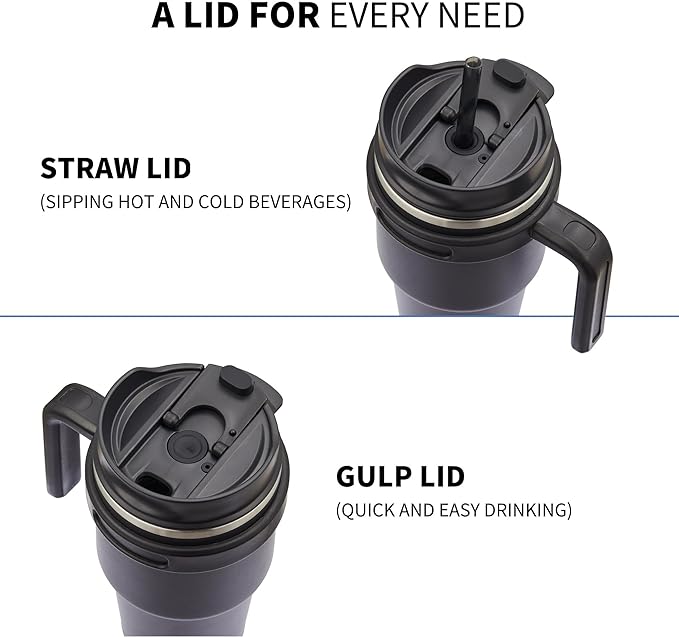 ALOUFEA 20 oz Insulated Coffee Mug Tumbler with Handle, Stainless Steel Travel Mug Tumbler with Lid and Straw,Double Wall Vacuum Leak Proof Ice Coffee Thermal Cup, Dark Rainbow/Indigo Black