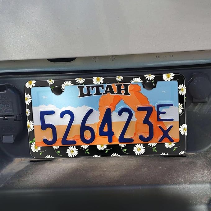 2PCS Daisy License Plate Holder with Leaf,Beautiful Chrysanthemum License Plate Frame, Personalized Floral Car Accessory Holder for Men and Women