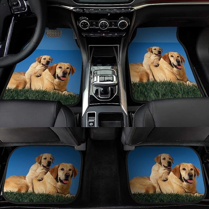 Custom Car Floor Mats Accessories Non Slip 4 Pieces Set All Weather Protection for Car SUV Truck Van Sedan & Coupe Personalized Auto Interior Decorative Black