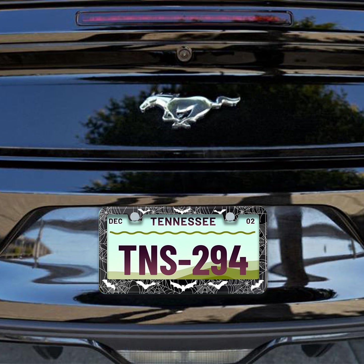 License Plate Frame for Bats and Spider Webs Stainless Steel License Plate Frames Holder Covers Rust-Proof Auto Parts Decoration with Screws License Plate Holder for Car Accessories 12x6 Inch