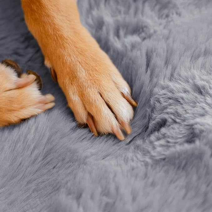 FUNNY FUZZY Fluffy Dog Car Seat Cover for Back Seat (Bench), Water-Resistant with Nonslip Backing,Pet Seat Protector for Cars SUVs Trucks（Gray