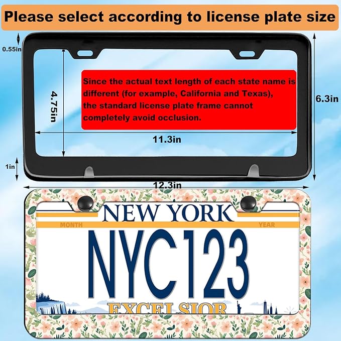 1-Pack Pink Floral License Plate Frames for Women Man, 2 Holes Pink Flower License Plate Holder, Floral and Green Foliage License Plate Cover fits US Vehicles with Keychain Wrist Lanyard