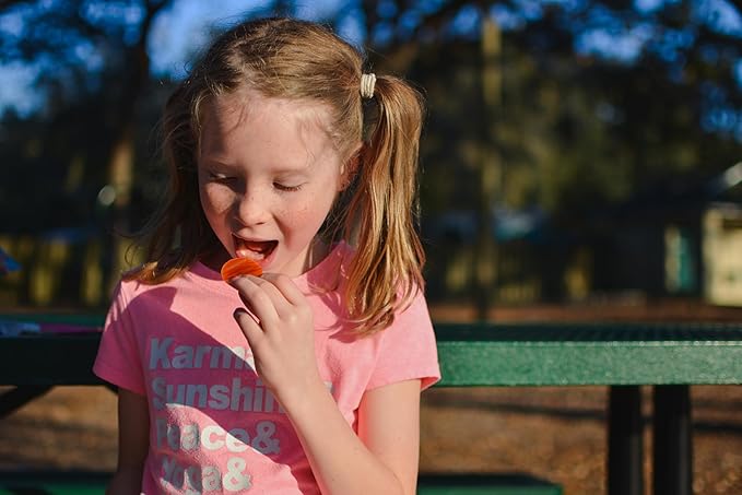 YOU LOVE FRUIT - APPLE & CINNA-SIDEKICK All Natural Fruit Snacks, Healthy Snack Pack, Real Fruit! Gluten Free, Non GMO, Vegan, Low Carb, Low Fat, Kosher, Variety Pack, Great For Adding To Gift Box, 1.0 oz (Pack of 12)