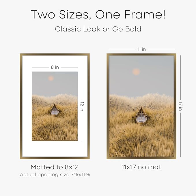 Homeforia 11x17 Bronze Picture Frame, High End Metal 11x17 Brass Poster Frames with Mat 8x12 for Photo, 11 x 17 Frame Matted to 8 by 12 inch Print, 17x11 Thin Frame, Tempered Glass, Wall Kit, Set of 1