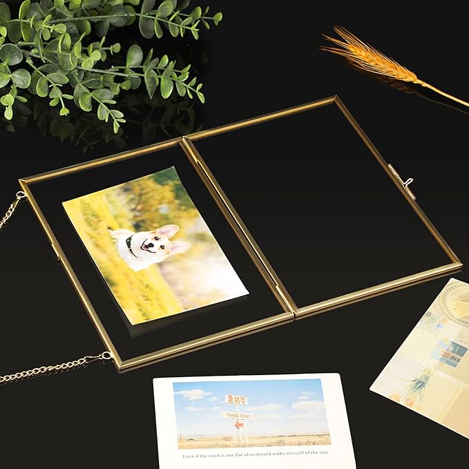 JUXYES 2 Pack Wall Hanging Business License Frame Brass License Certificate Display Frames, Double Glass Floating Diploma Frames, Wall Mount Golden Graduation Frame for 5.5x8.5 Inches Certificate Business Licenses