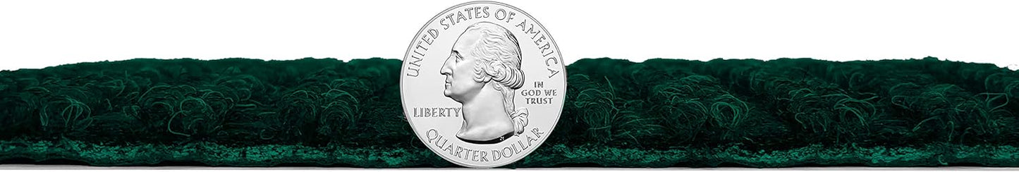 KOECKRITZ Heavy Duty Durable All Weather Indoor/Outdoor Non Slip Entrance Mat Rugs and Runners for Office Business Building Home Garage Front Door (4' x 16', Green)