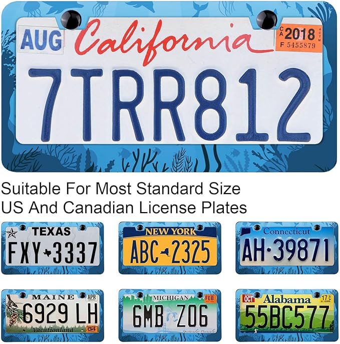 Underwater Ocean Fauna License Plate Frames Deep Sea Plants Animal Cartoon Rust-Proof Stainless Steel License Plate Cover Personalized Cover for Women Men 12.3x6.3 Inch License Plate Holder -DATANSEN