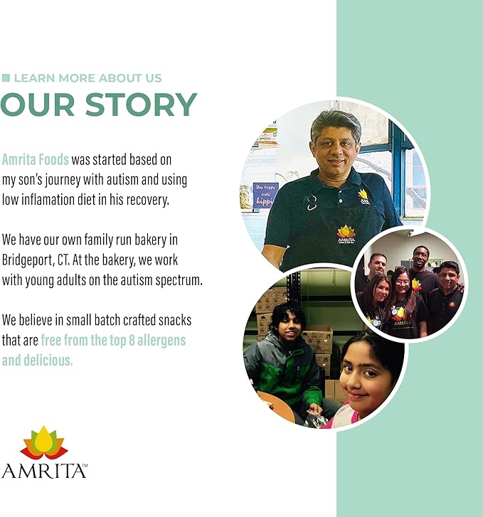 Amrita Nut Free Vegan Protein Bars 6 Flavor Variety | 15g Plant-Based Protein Bar | Peanut-Free, Gluten Free, and Dairy-Free | No Added Sugar, High Fiber, Healthy Snacks for Kids/Adults