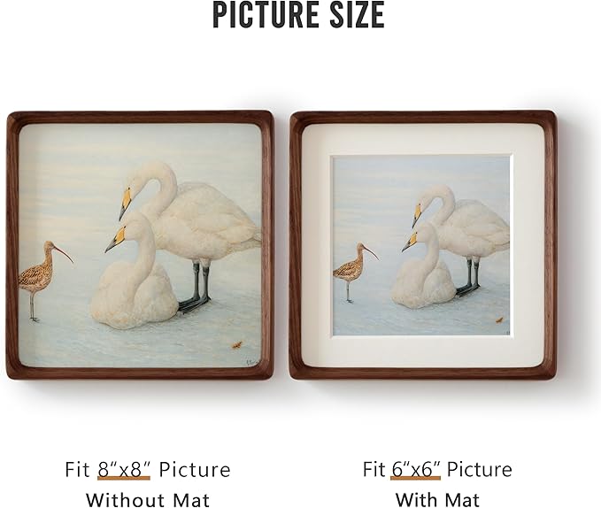 Natural 8x8 Picture Frame with Mat for Pictures 6x6, Square Standing Desk Photo Frame, Plexiglass,Solid Walnut Wood，Tabletop and Wall Hanging
