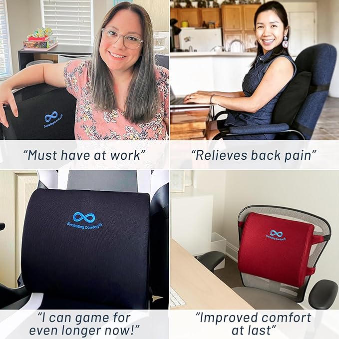 Everlasting Comfort Lumbar Support Cushion for Car Seat - Memory Foam Back Cover for Car - Lumbar Support Promotes Better Posture, Back Pain Relief - Ideal for Driving